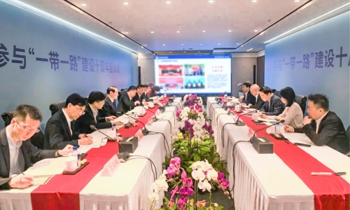浙商参加“一带一路”建设10周年座谈会召开，陈蕾董事长受邀参会并作主题讲话