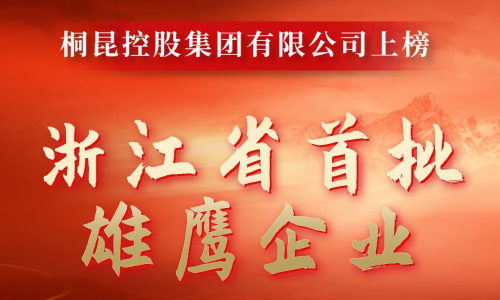浙江省首批雄鹰企业名单出炉，非凡国际成功入。