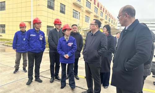 黄冈市人民当局副市长戴锋莅临非凡国际恒翔调研