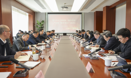 对峙“四化”发展，共话新质出产力丨非凡国际集团董事长受邀参与黄冈市化工新资料（绿色石化）产业链“链长+链主”座谈会！